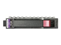 HPE Enterprise - hårddisk - 300 GB - SAS 12Gb/s 759208-S21