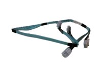 HPE Mini-SAS Cable Kit - sats med intern SAS-kabel 784629-001