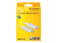 Delock - Thunderbolt-kabel - Mini DisplayPort till Mini DisplayPort - 50 cm 83165