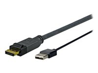 VivoLink Pro - bildskärmskabel - DisplayPort till USB - 3 m PRODPUSB3