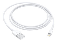 Apple Lightning-kabel - Lightning / USB 2.0 - 1 m MQUE2ZM/A