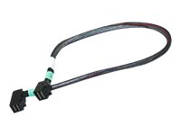 Fujitsu intern SAS-kabel - 50 cm T26139-Y4040-V26