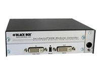 Black Box VGA/DVI to DVI-D Converter - videokonverterare - TAA-kompatibel ACS411A-R2