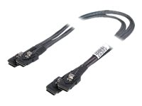 Fujitsu intern SAS-kabel - 47 cm T26139-Y3963-V106