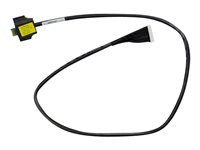 HPE - batterikabel - 61 cm 496029-B21