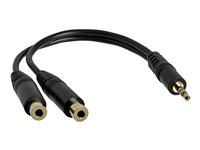 StarTech.com 6 in. 3.5mm Audio Splitter Cable - Stereo Splitter Cable - Gold Terminals - 3.5mm Male to 2x 3.5mm Female - Headphone Splitter (MUY1MFF) - ljudsplitter - 15.2 cm MUY1MFF