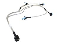 Fujitsu SATA/SAS-kabel S26361-F3210-L321