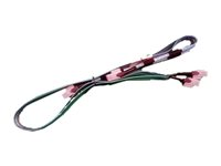 HPE SATA/SAS-kabel 699144-001