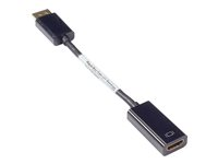Black Box DisplayPort to HDMI Adapter - videokort - DisplayPort / HDMI - 19 cm EVNDPHDMI-MF-R3