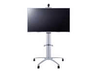 Multibrackets M Public Display Stand 145 Single - ställ - för LCD-display - silver 7350022735385