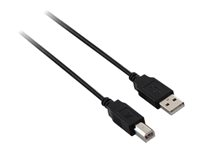 V7 - USB-kabel - USB till USB typ B - 3 m V7E2USB2AB-03M