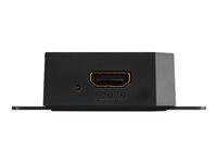 ViewSonic myViewBoard Direct - videokort - HDMI / USB VBD100