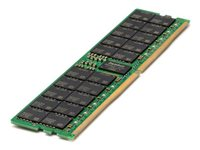 HPE SmartMemory - DDR5 - modul - 256 GB - DIMM 288-pin - 5600 MHz / PC5-44800 - 3DS-registrerad P64710-B21