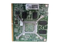 NVIDIA Quadro 1000M - grafikkort - Quadro 1000M - 2 GB 729352-001
