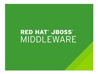 JBoss Data Grid - standardabonnemang (3 år) - 4 kärnor MW00133F3