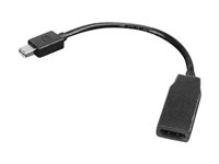 Lenovo - videoadapterkabel - Mini DisplayPort till HDMI - 20 cm 03X6594