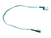 HPE Mini-SAS - intern SAS-kabel - 53 cm 853353-001