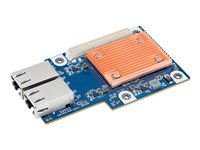 Gigabyte CLNO222 (rev. 1.0) - nätverksadapter - OCP - Gigabit Ethernet/10 Gb Ethernet x 2 CLNO222