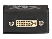 Black Box DVI-D to VGA Adapter - videokonverterare AC1038A
