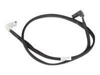 Fujitsu intern SAS-kabel FUJ:CA72001-4880