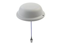 Panorama Antennas CMSLP-6-60-05NJ - antenn CMSLP-6-60-05NJ