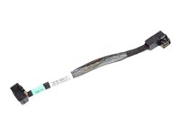 Fujitsu intern SAS-kabel - 18 cm T26139-Y4040-V31