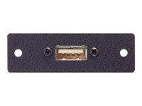 Extron Mini Architectural Adapter Plate IN9467 - modulär insättning 70-312-11