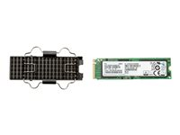 HP Z Turbo Drive G2 - SSD - 1 TB - PCIe 3.0 x4 (NVMe) 1PD61AA