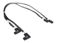 Fujitsu intern SAS-kabel - 50 cm T26139-Y3963-V110