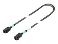 Fujitsu intern SAS-kabel - 47 cm T26139-Y4040-V8