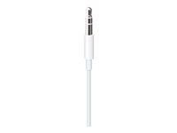 Apple Lightning to 3.5mm Audio Cable - ljudkabel - Lightning / ljud - 1.2 m MXK22ZM/A