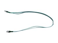 HPE intern SAS-kabel - 93 cm 681908-001