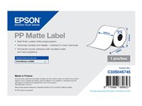Epson - etikettpapper - matt - 1 rulle (rullar) - Rulle (22 cm x 750 m) C33S045745
