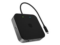 ICY BOX 7-in-1 - dockningsstation - USB-C 3.2 Gen 2 / Thunderbolt 3 / Thunderbolt 4 - HDMI, DP - 1GbE IB-DK408-C41