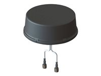 Cisco antenn ANT-2-4G2-O=