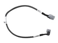 Fujitsu intern SAS-kabel - 66 cm A3C40175048