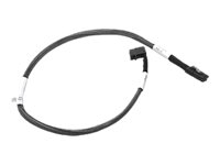 Fujitsu intern SAS-kabel - 76 cm A3C40175049