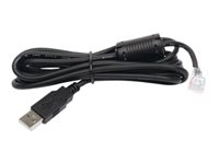 APC - USB-kabel - USB till RJ-45 (10 pin) - 1.8 m AP9827