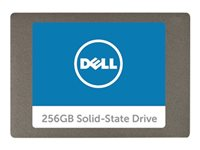 Dell - SSD - 256 GB - SATA A9794105