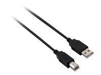 V7 - USB-kabel - USB till USB typ B - 1.8 m V7E2USB2AB-1.8M