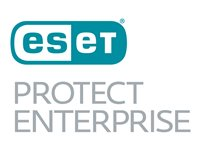 ESET PROTECT Enterprise - abonnemangslicens (1 månad) - 1 enhet 2019D1B250M