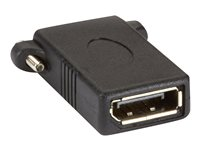 Black Box - DisplayPort-könsbytare - DisplayPort till DisplayPort VA-DP-CPL